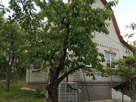 Продам дачу Зелений Гай Високий