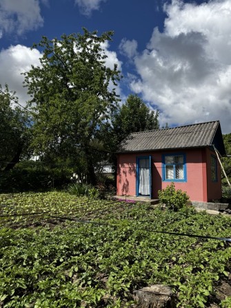 Будинок дачного типу - фото 1