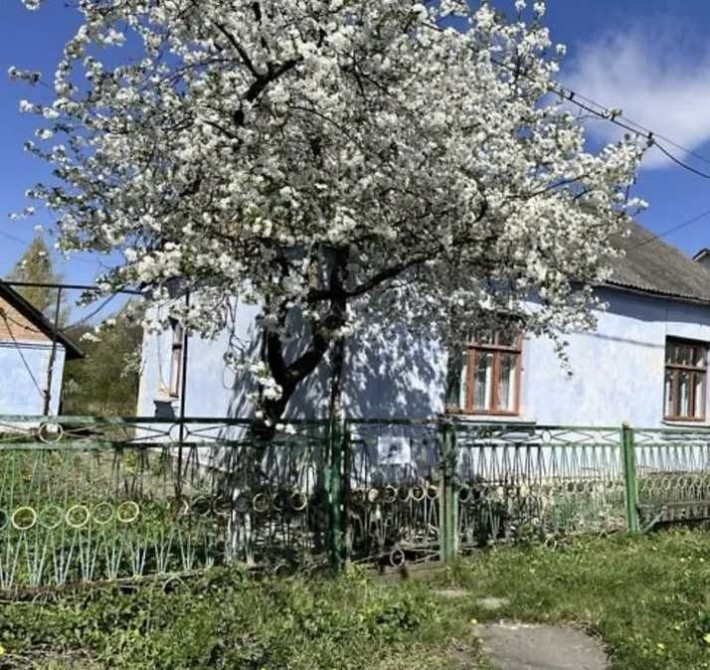 Продається окремий будинок із земельною ділянкою 10 соток - фото 1