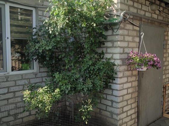 Продам частину будинку в місті Ізюм Ізюм