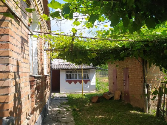 Будинок в Козятинскому району, с. Іванківці Козятин