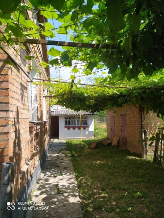 Будинок в Козятинскому району, с. Іванківці - фото 1