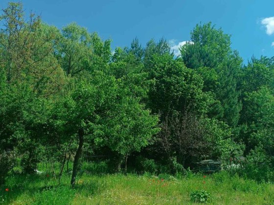 Дача , масив Вишенька Киверцы