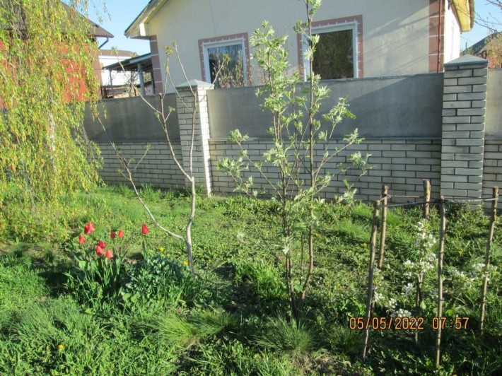 Продам садибу з будинком  м.Конотоп Сумська область - фото 1