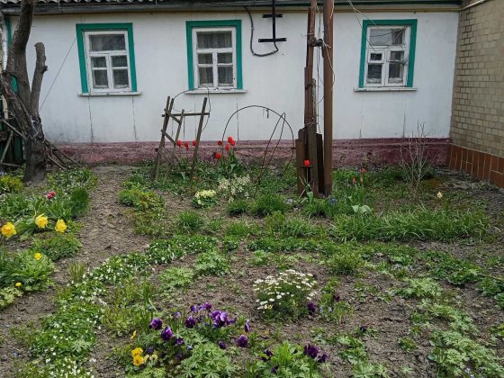 Продається половина будинку Коростышев