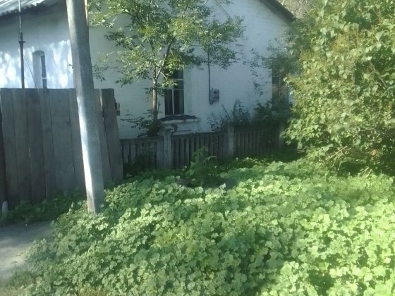 Будинок з надвірними будівлями Берестин