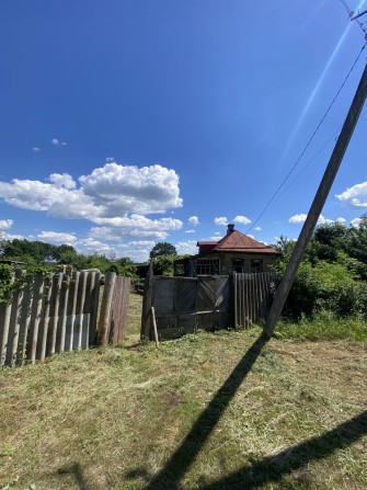 Продам землю в с. Рокитне (Харківська область) - фото 1