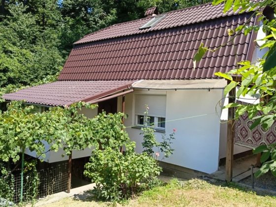 Теплий, комфортний житловий будинок Мукачево