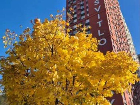 Продаж 2-кімнатної квартири без ремонту у ЖК "Svitlo Park", Киев