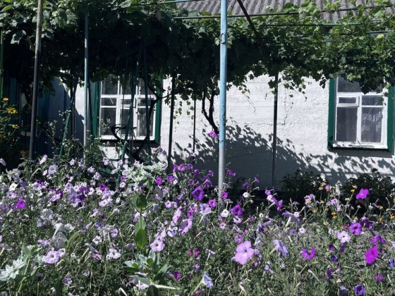Продам дім, вулиця О. Цокура( Микити Головка)