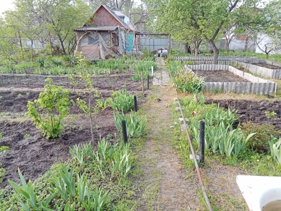 Терміново продаю дачу СТ''Мічурінець'', 6 соток,садок ,город. Светловодск