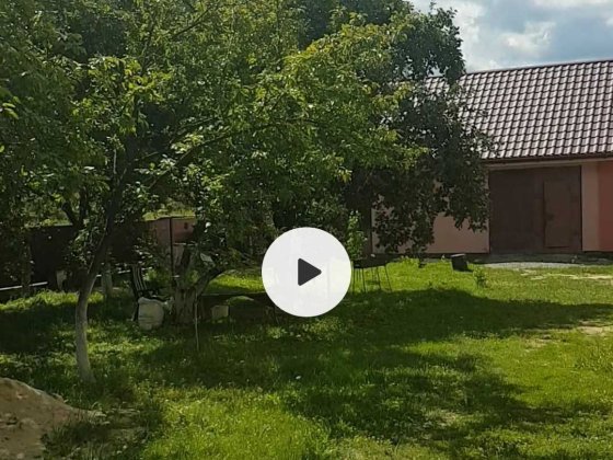 Добротний будинок Славута