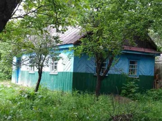 Продам будинок в.с Шепетівка