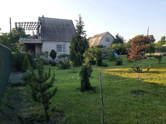 Продам дачу СОТ протон Південноукраїнськ