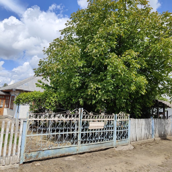 Продається будинок - фото 1