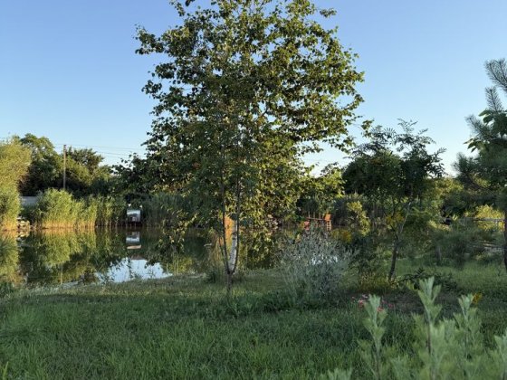 Продається затишна дача в Підгородному ( Єрмолаївка) Підгородне