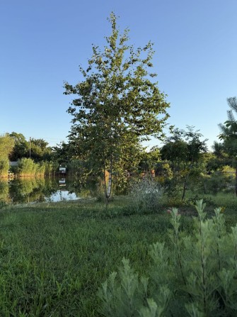 Продається затишна дача в Підгородному ( Єрмолаївка) - фото 1