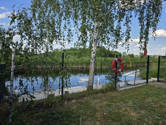 Продам дачу , Подгородное, первая линия от берега Підгородне