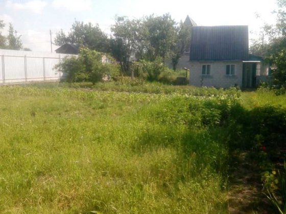 Продається дачний будинок Радомишль Радомишль