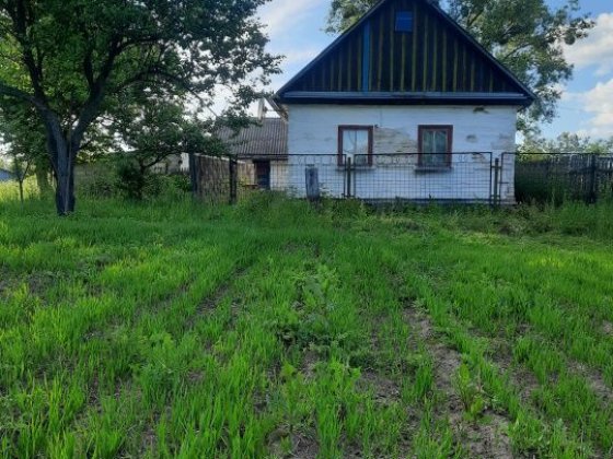 Продаж будинок,сарай,гараж. Радомишль