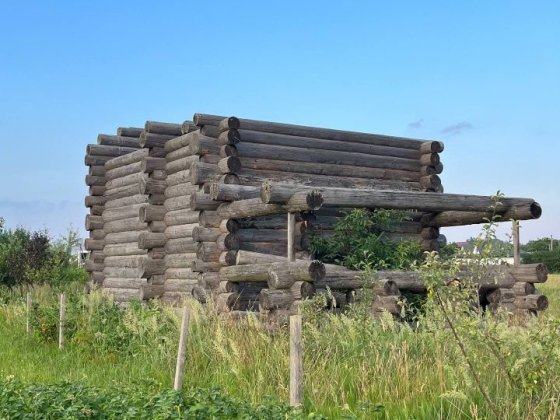Будинок з дикого зрубу Микитинці