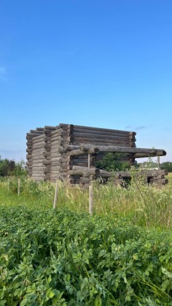 Будинок з дикого зрубу - фото 1