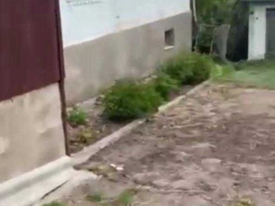 Продається затишний будинок у мальовничому місті Богуслав. Богуслав