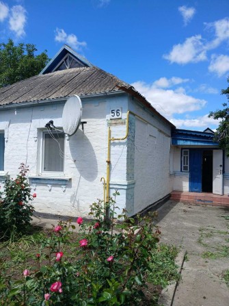 Продам затишний будинок від власника у місті Сквира Білоцерківського району Київської області - фото 1