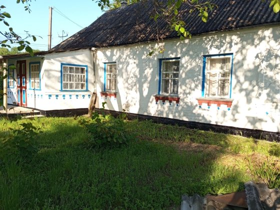 Продам будинок у селі Токарівка