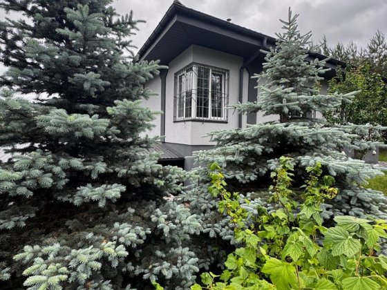 Продам будинок з ремонтом біля озера та лісу| Горбовичі| БЕЗ КОМІСІЇ