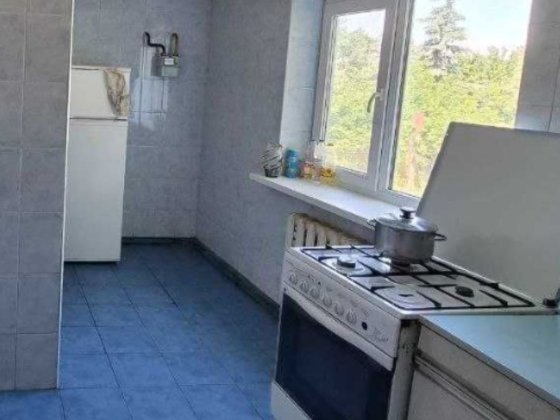 Продаж  будинок,с.Зазим'я,майже півгектара землі примикає до лісу