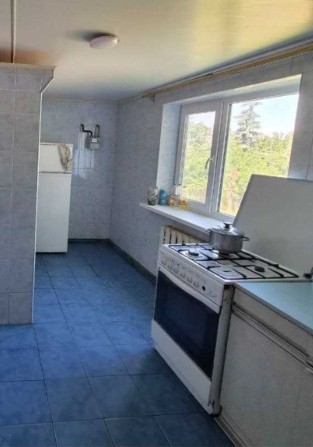 Продаж  будинок,с.Зазим'я,майже півгектара землі примикає до лісу - фото 1