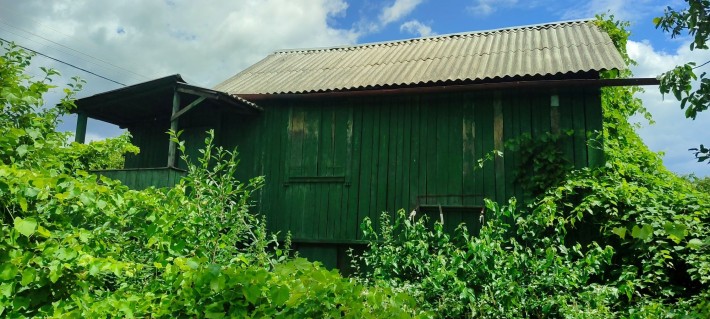 Продаю свій  дачний  будинок  Устье Десни (Осещина) - фото 1