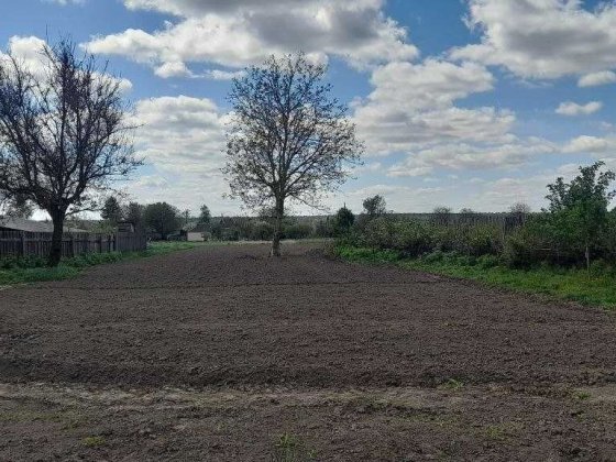 земельна ділянка та будинок Плесецьке