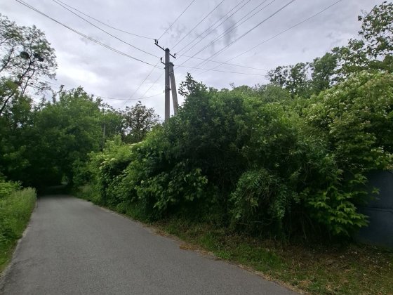 Продаж,Старі Безрадичі,ділянка з будинком + господ.споруди Старі Безрадичі