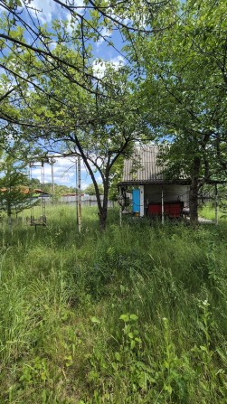 Продаж дачного будиночку.  16с . Приватизована. с. Фурси - фото 1