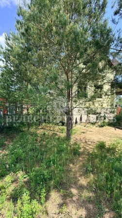 Продаж участку, будинку 15 соток Віта Поштова Юрівка Без % - фото 1