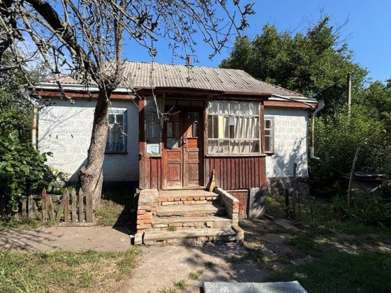 Продається будинок Мала Виска