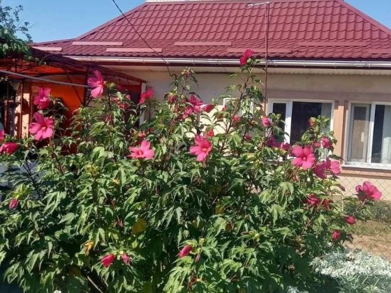 Продаж капітального будинку на Лелеківці Підгайці
