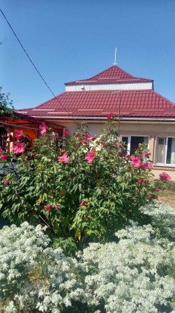 Продаж капітального будинку на Лелеківці - фото 1