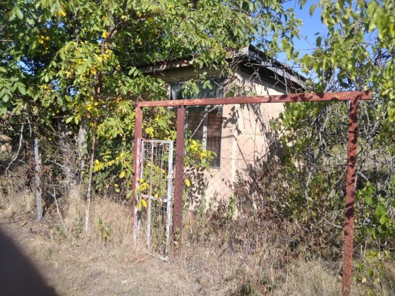 Продаж дач кооператив "Геолог" Черняховка