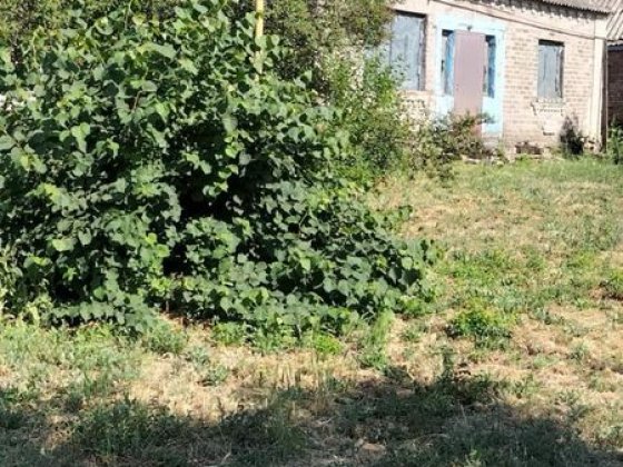 Терміново продам будинок Новгородка