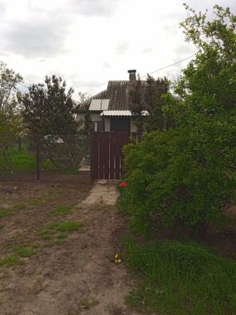 Продам дом.Село Светлое.Одесская область.Старые дачи.Улица МТС,угол 28. - фото 1