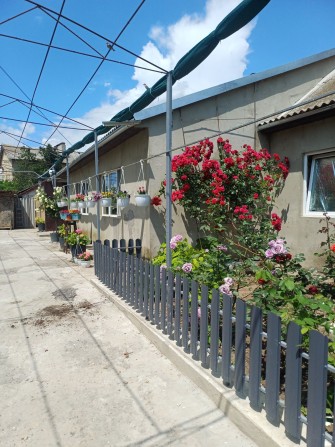 Продам свой дом в с.  Николаевка Овидиопольский район - фото 1