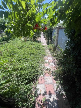 Продам Дом в Усатово Близость к городу и Лиману - фото 1