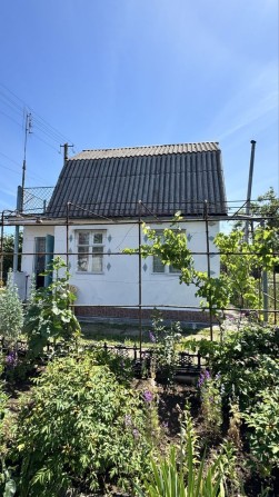 Продам дачу Новая Дофиновка - фото 1