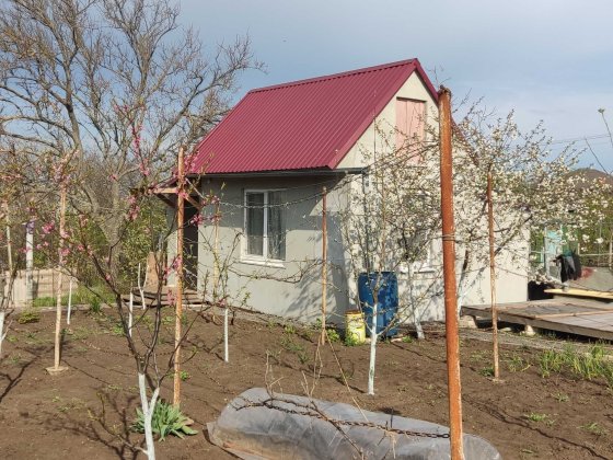 Продается дача в Новой дофиновке Нова Дофінівка