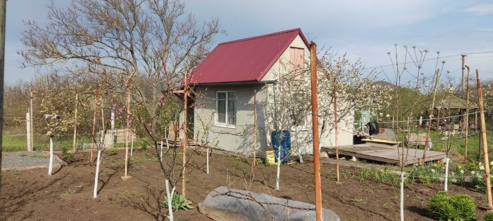 Продается дача в Новой дофиновке - фото 1