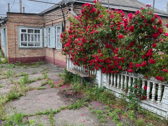 продається будинок Пирятин