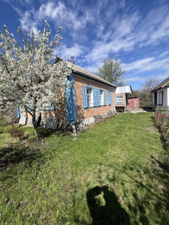 Будинок в центрі Гребінки - фото 1